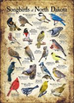 Songbirds of North Dakota poster print