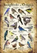 Songbirds of Oregon poster print