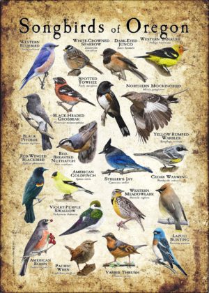 Songbirds of Oregon poster print
