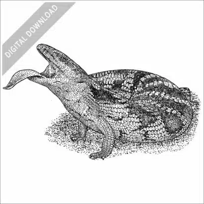 Common Blue-Tongued Skink stock image