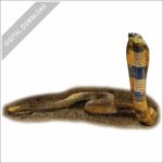 Central Asian Cobra stock image