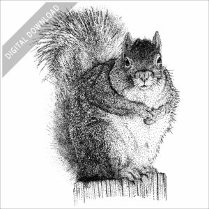 Eastern Grey Squirrel stock image
