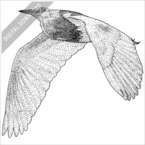 Javan Pond Heron stock image