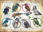 Kingfishers of the World poster print