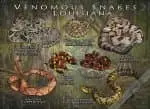 Venomous Snakes of Louisiana Poster Print - Image 2