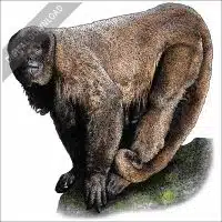 Brown Woolly Monkey stock illustration