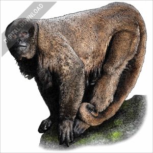 Brown Woolly Monkey stock illustration