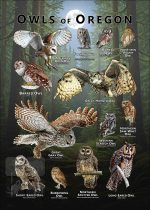 Owls of Oregon poster print