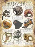 Threatened Primates of South America poster print