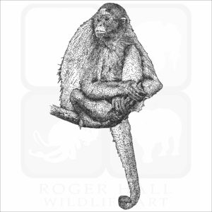 Variegated Spider Monkey black and white drawing