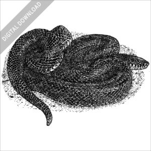 Eastern Black Kingsnake black and white stock image