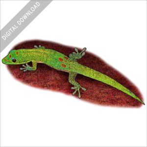 Gold Dust Day Gecko stock illustration
