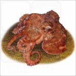 Star-Sucker Pygmy Octopus illustration