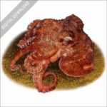 Star-Sucker Pygmy Octopus stock image