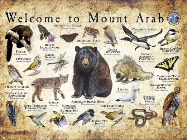 Customized Wildlife Poster - Image 5