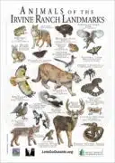 Animals of Irvine Ranch Conservancy poster