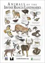 Animals of Irvine Ranch Conservancy poster