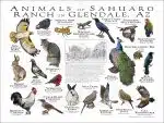 Customized Wildlife Poster - Image 4