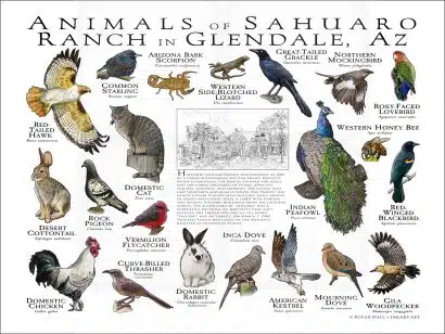Customized Wildlife Poster - Image 4