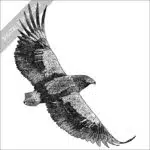 Black and white stock art drawing of a Downloadable high-resolution stock art image of a Bateleur Eagle