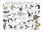 Customized Wildlife Poster - Image 6