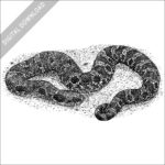 black and white drawing of an Eastern Hognose Snake
