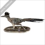 Greater Roadrunner stock image