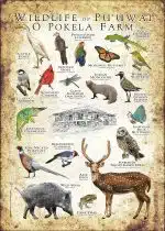 Customized Wildlife Poster - Image 3