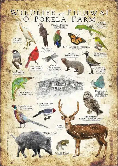 Customized Wildlife Poster - Image 3