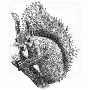 Japanese Red Squirrel black and white drawing