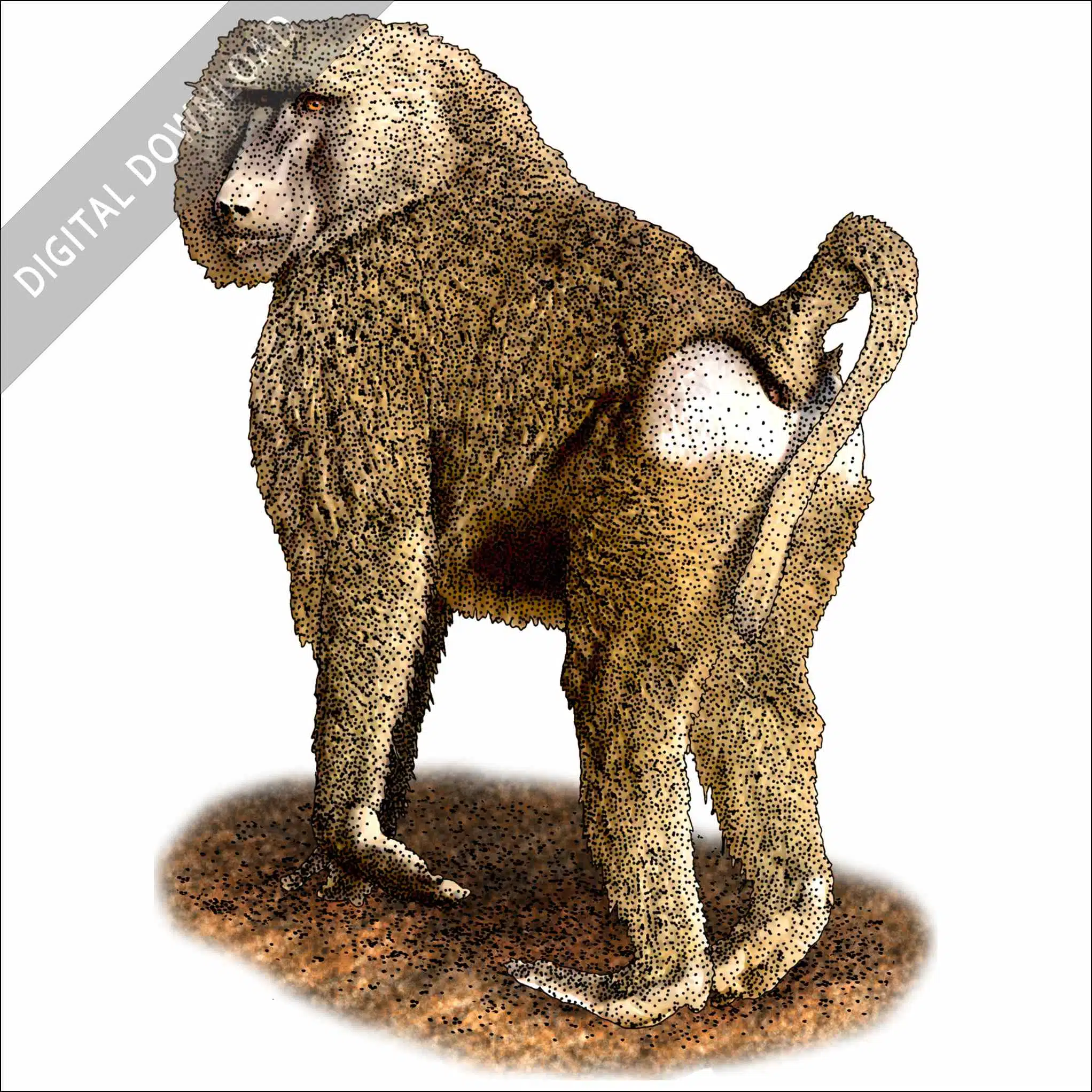 Yellow Baboon Yellow Baboon stock art illustration
