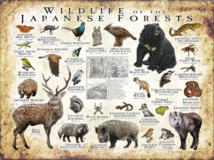 Wildlife of the Japanese Forests poster print