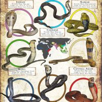 Cobra Species poster print