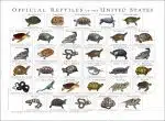 Official Reptiles of the United States poster print
