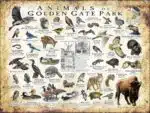 Animals of Golden Gate Park poster print