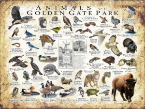 Animals of Golden Gate Park poster print