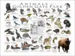 Animals of Golden Gate Park poster print