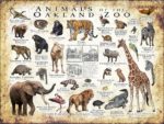 Animals of the Oakland Zoo poster print