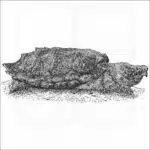 Suwannee Snapping Turtle black and white drawing