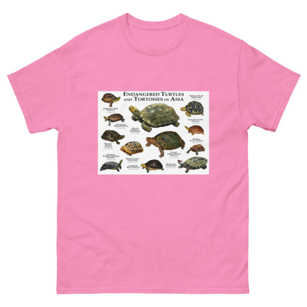 Endangered Turtles and Tortoises of Asia - Men's classic tee - Image 7