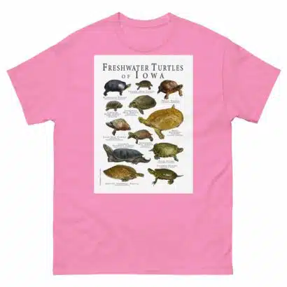 Freshwater Turtles of Iowa - Men's classic tee - Image 7