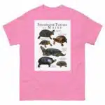 Freshwater Turtles of Maine - Men's classic tee - Image 7