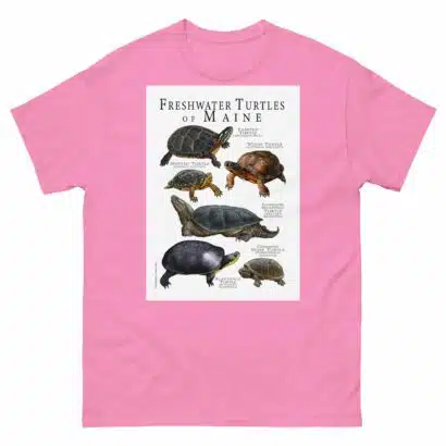 Freshwater Turtles of Maine - Men's classic tee - Image 7