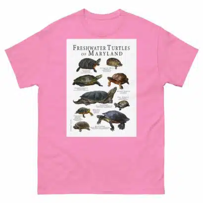 Freshwater Turtles of Maryland - Men's classic tee - Image 7