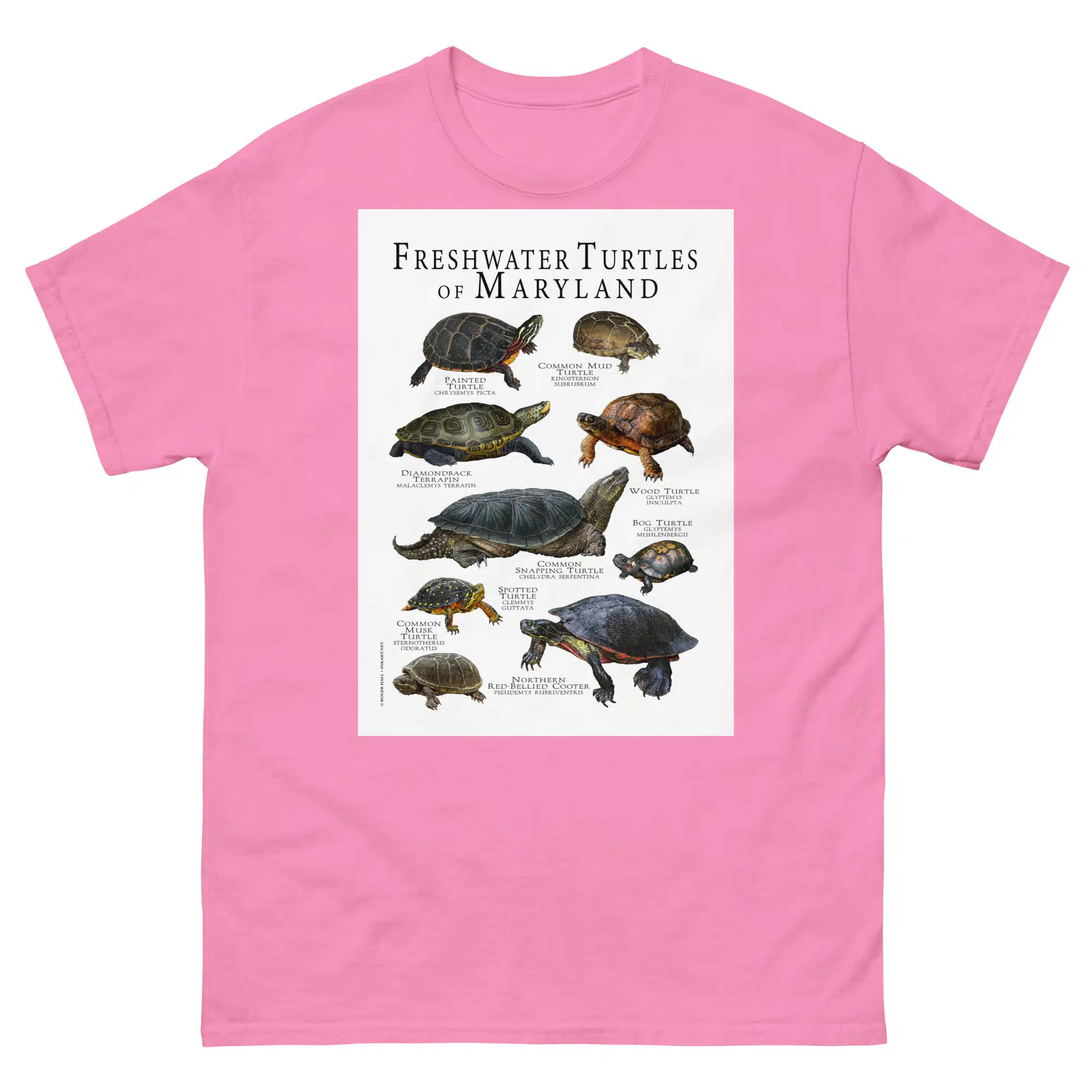 トップス Olde steader YOUTH TURTLE musterwerk トップス Olde steader YOUTH TURTLE musterwerk Arizona Mud Turtle