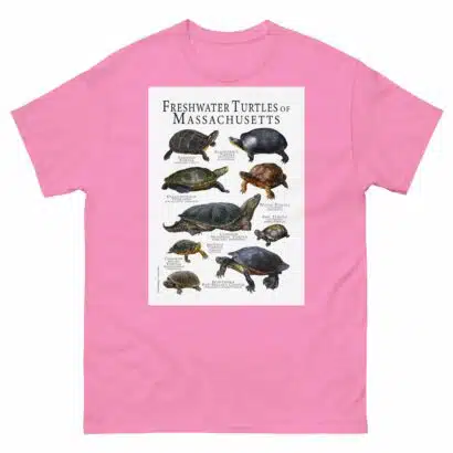 Freshwater Turtles of Massachusetts - Men's classic tee - Image 7