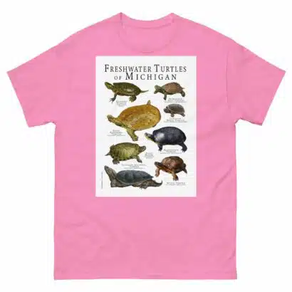 Freshwater Turtles of Michigan - Men's classic tee - Image 7