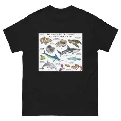 Marine Animals of the Caribbean - Men's classic tee - Image 2