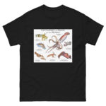 Cuttlefish and Squid of the World - Men's classic tee - Image 2