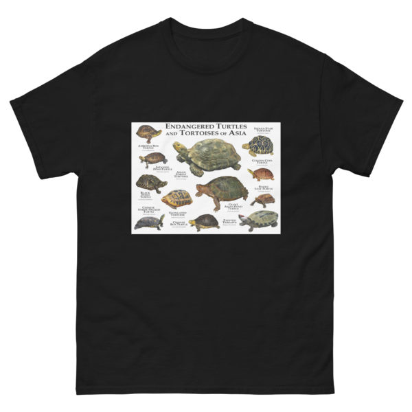 Endangered Turtles and Tortoises of Asia - Men's classic tee - Image 2